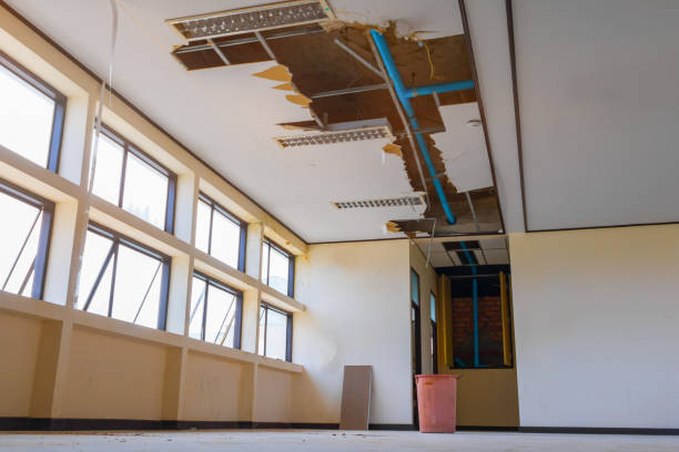 Best Local water damage restoration  in San Felipe, TX