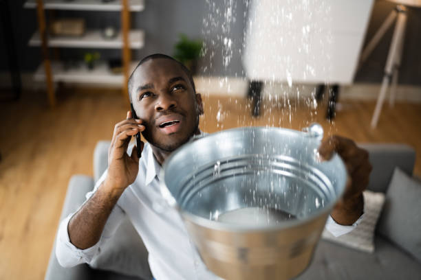 Best 24-hour water damage restoration  in San Felipe, TX