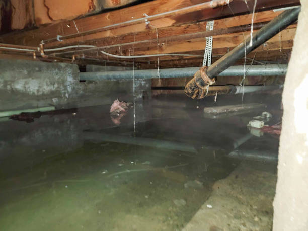 Best Emergency water damage restoration  in San Felipe, TX