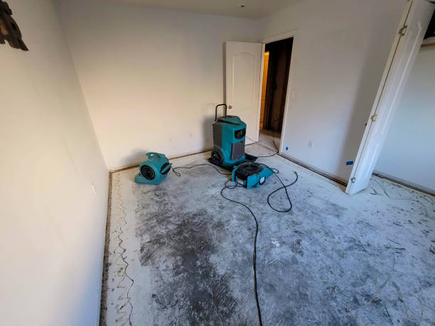 Best Emergency water damage restoration  in San Felipe, TX