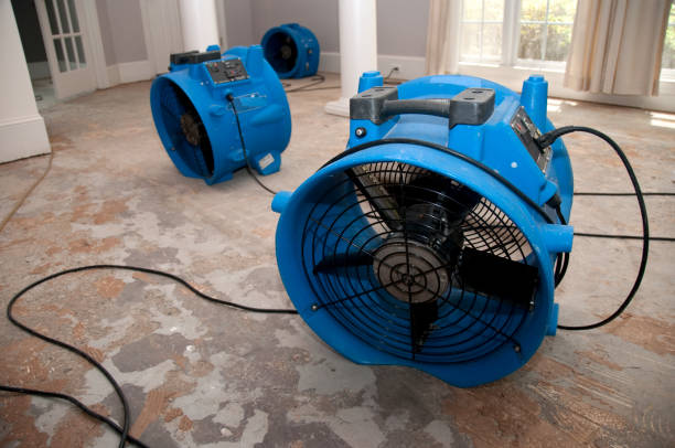 Best Sewage cleanup and water damage restoration  in San Felipe, TX