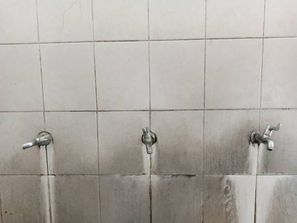 Local water damage restoration in San Felipe, TX