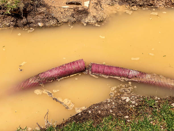 Best Professional water damage repair  in San Felipe, TX
