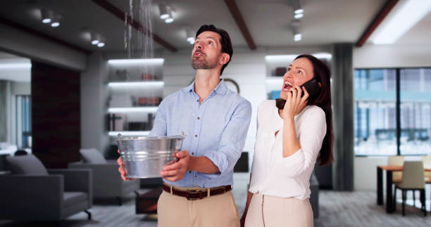 Best Flood restoration services  in San Felipe, TX