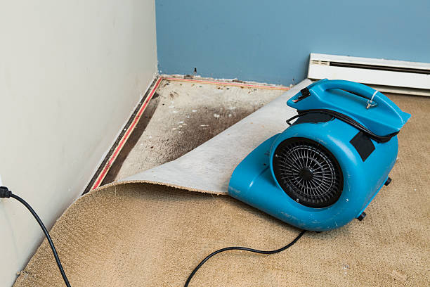 Best Water damage restoration near me  in San Felipe, TX
